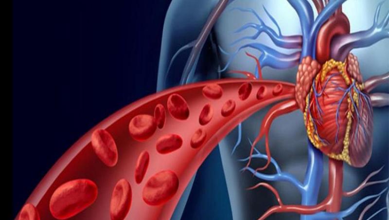 Ayurveda for Blood Purification