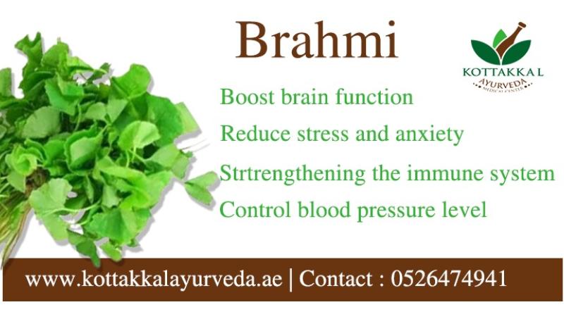      BRAHMI